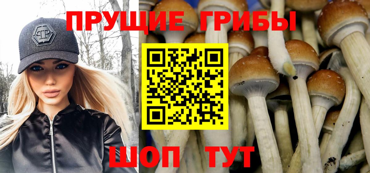 Бирск  Псилоцибиновые грибы мицелий  Вход с VPN 